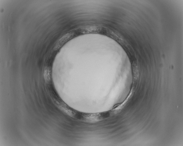 X0000073710191200608311804