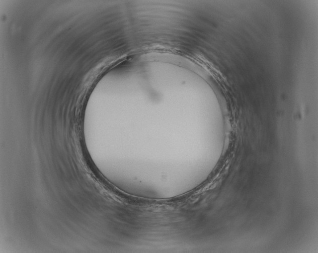 X0000073710193200608311803