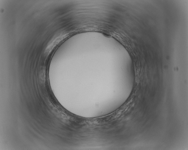 X0000073710194200608311803