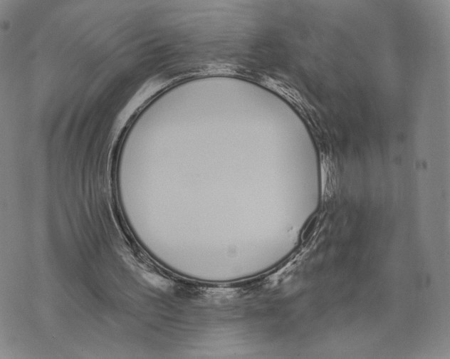 X0000073710195200608311803