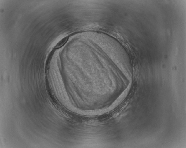 X0000073710196200608311803