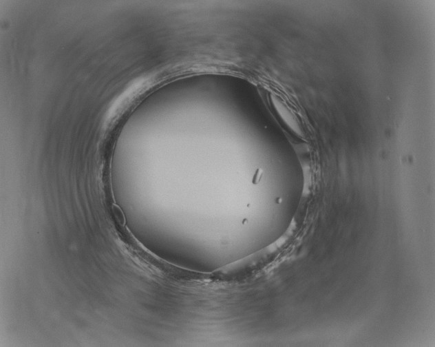 X0000073710197200608311803