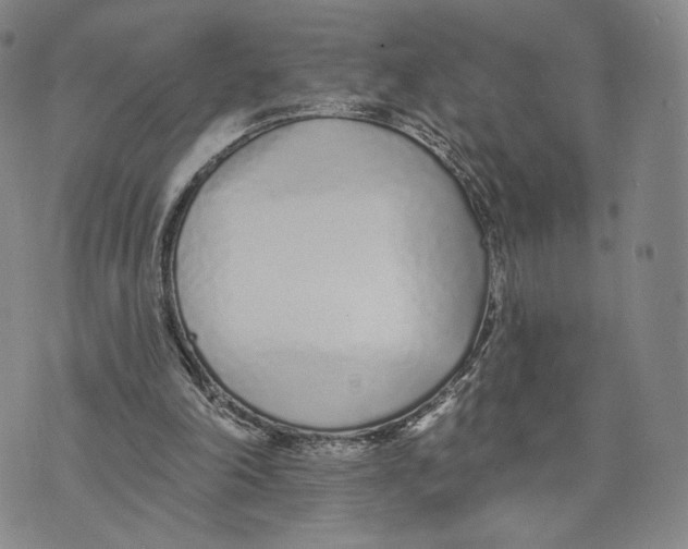 X0000073710198200608311803