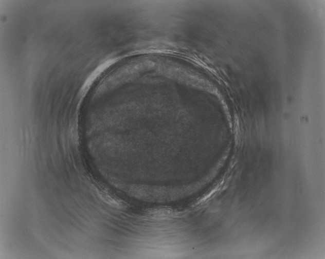 X0000073710200200608311803