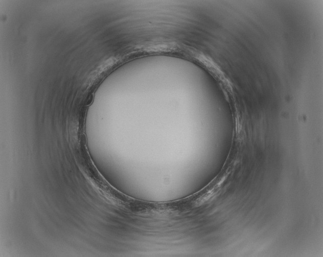 X0000073710201200608311803