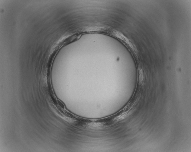 X0000073710203200608311803