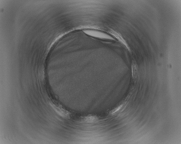 X0000073710204200608311803