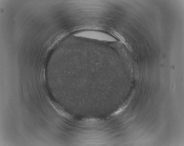 X0000073710205200608311803