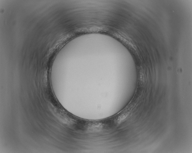 X0000073710206200608311803