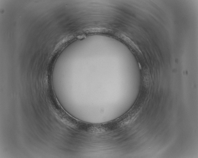 X0000073710207200608311803