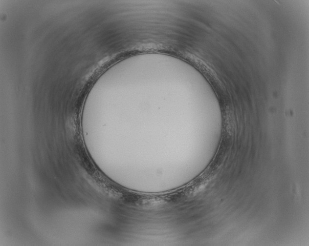 X0000073710208200608311803