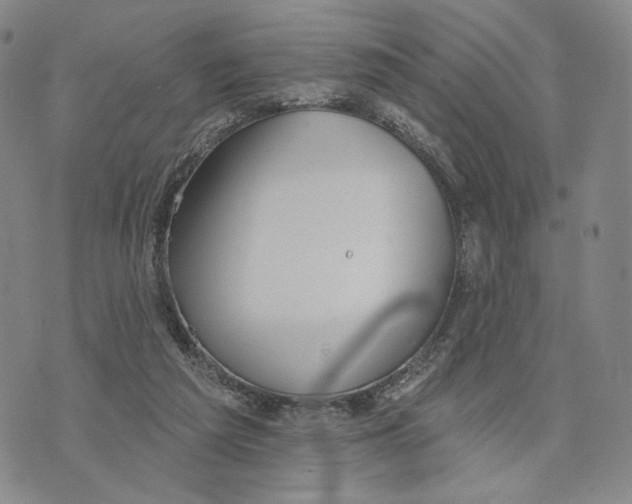 X0000073710209200608311803