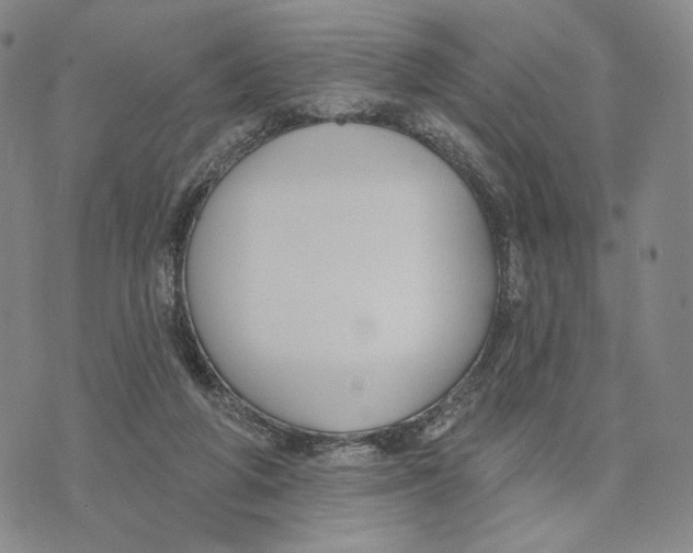 X0000073710210200608311803