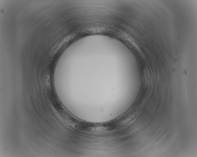 X0000073710212200608311803