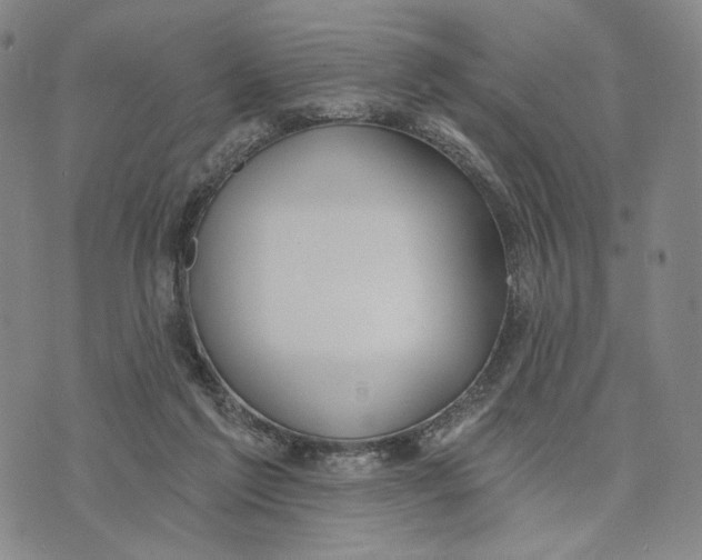 X0000073710213200608311803