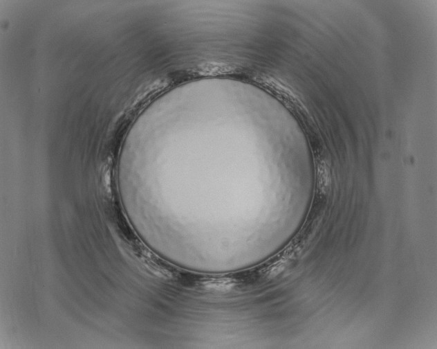 X0000073710214200608311803