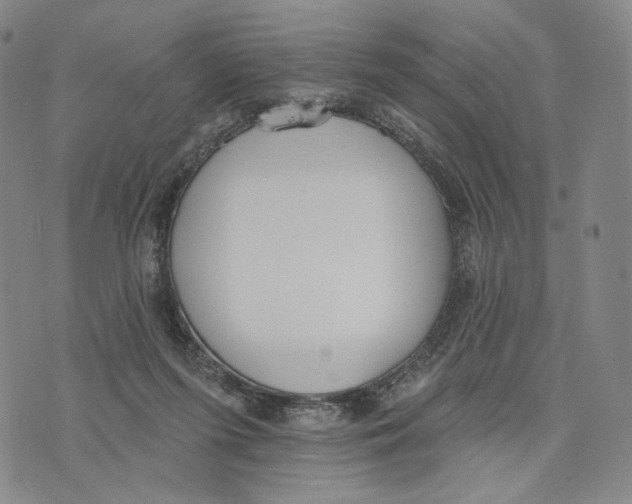 X0000073710215200608311803