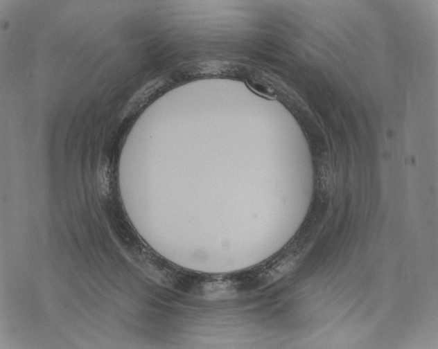 X0000073710216200608311802