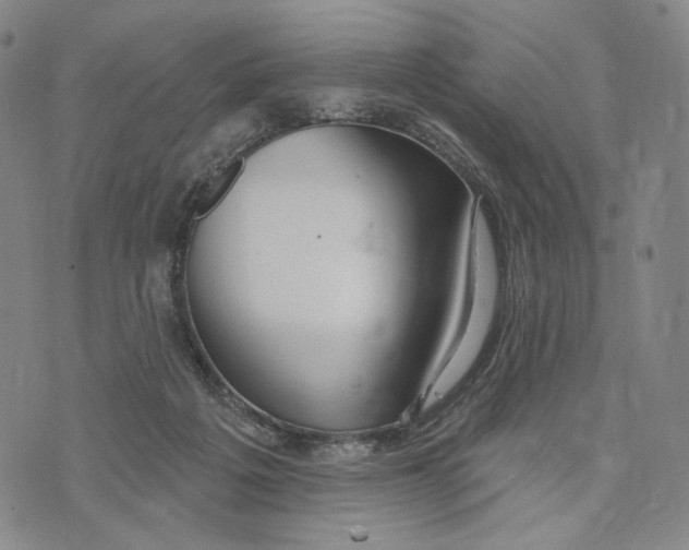 X0000073710217200608311802