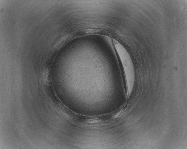 X0000073710219200608311802