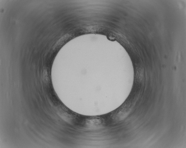 X0000073710220200608311802