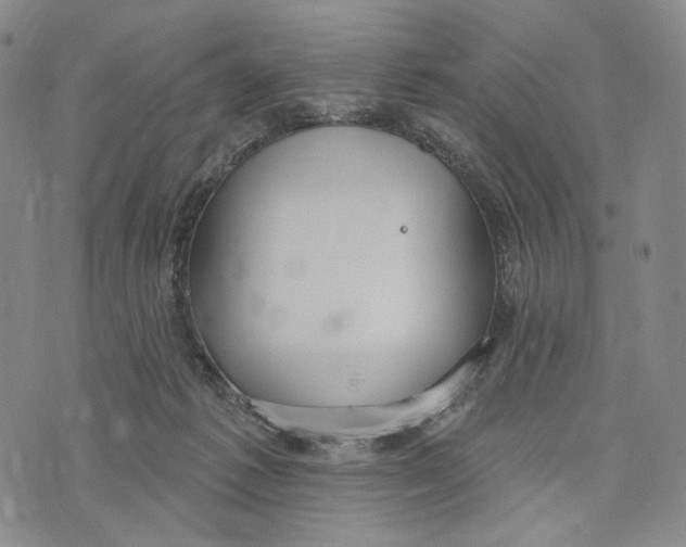 X0000073710221200608311802