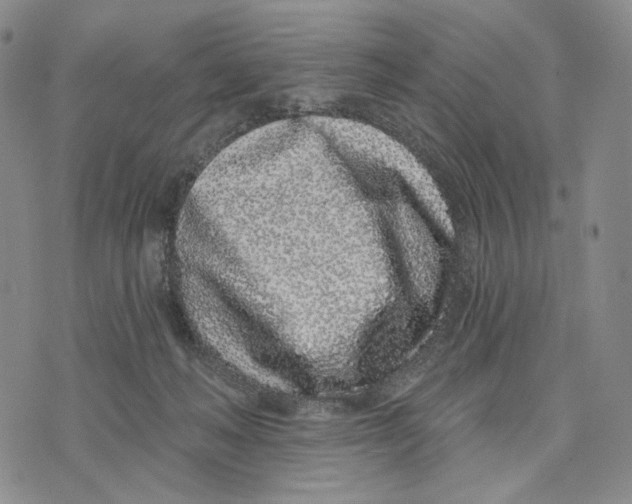 X0000073710222200608311802