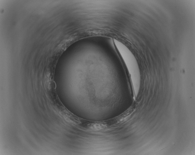 X0000073710223200608311802