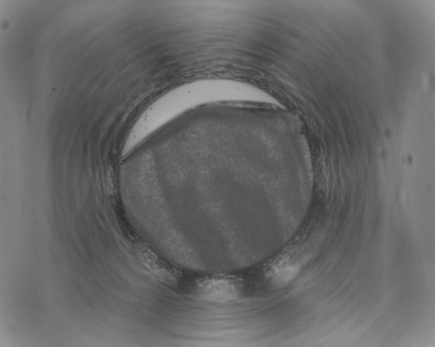 X0000073710224200608311802