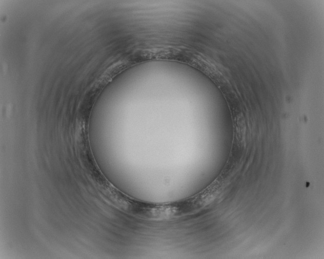 X0000073710225200608311802