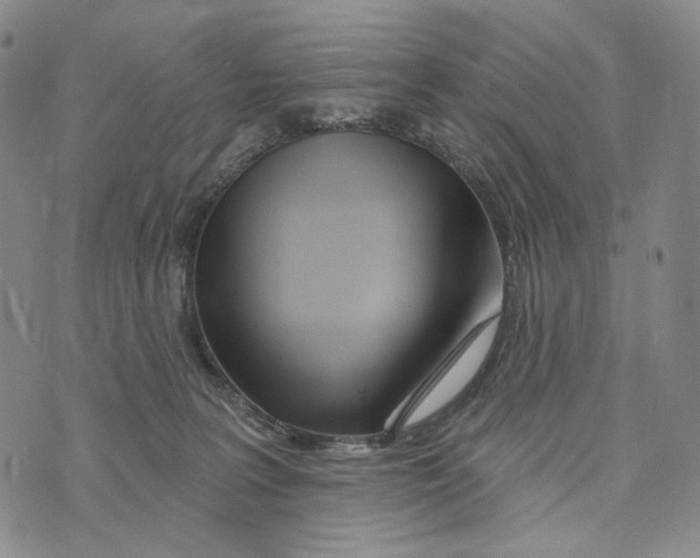 X0000073710227200608311802