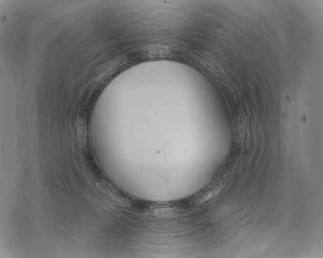 X0000073710228200608311802