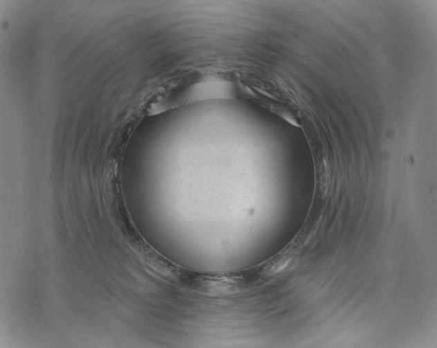 X0000073710229200608311802