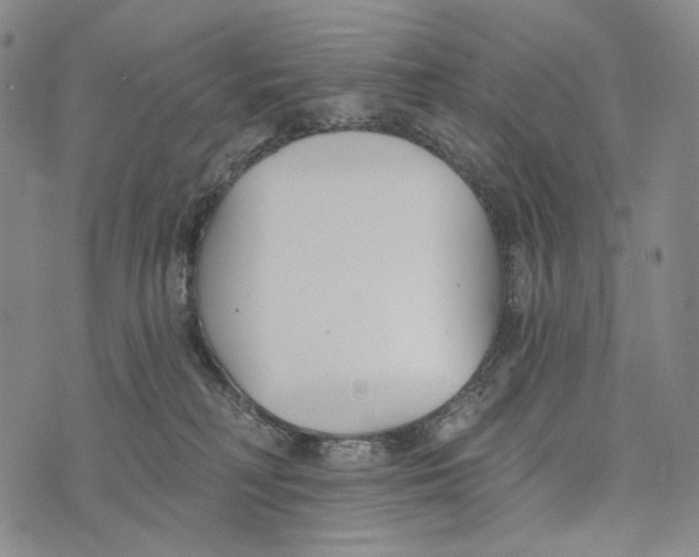 X0000073710230200608311802