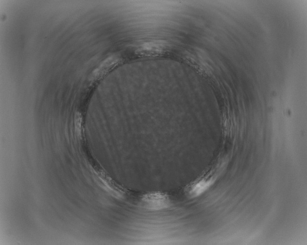 X0000073710231200608311802