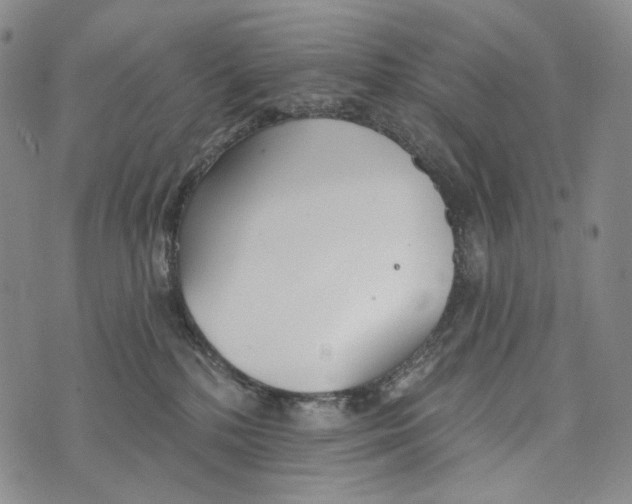 X0000073710232200608311802