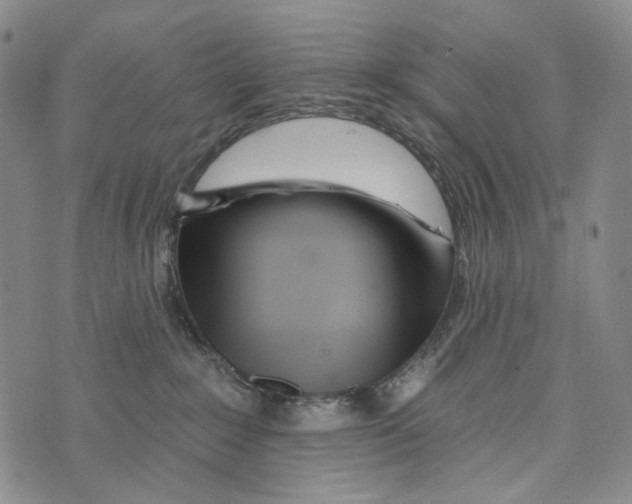 X0000073710235200608311802