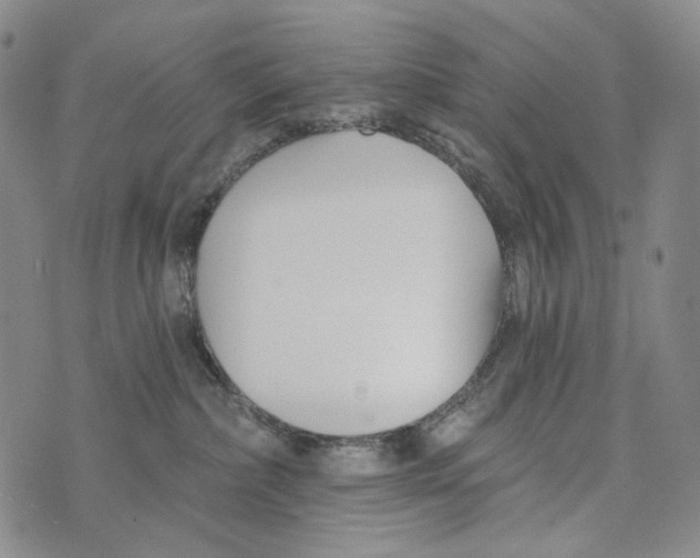 X0000073710236200608311802