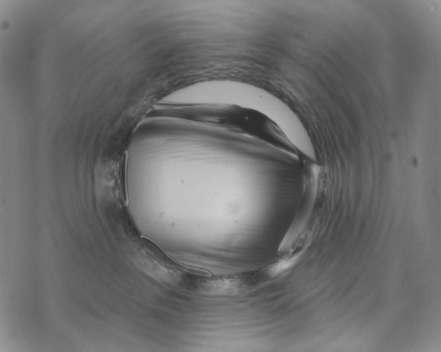 X0000073710237200608311802