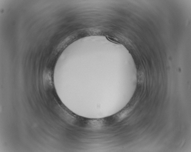 X0000073710238200608311802