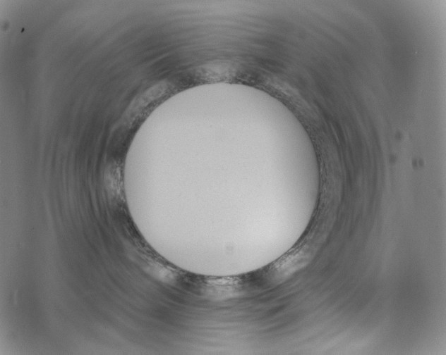 X0000073710240200608311802