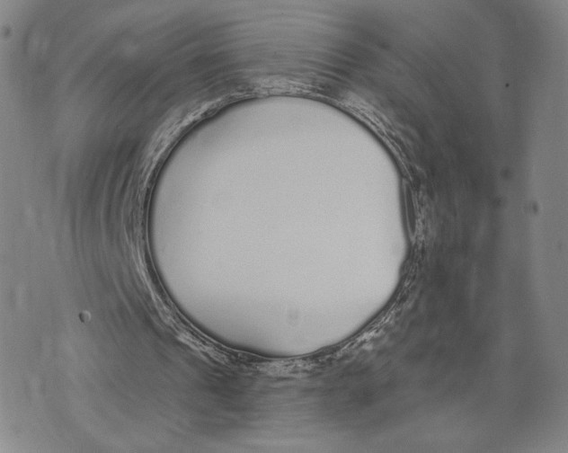 X0000073710241200608311801