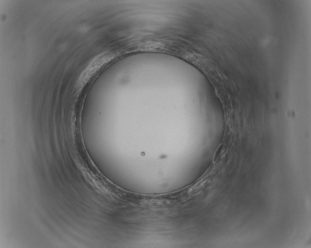 X0000073710242200608311801