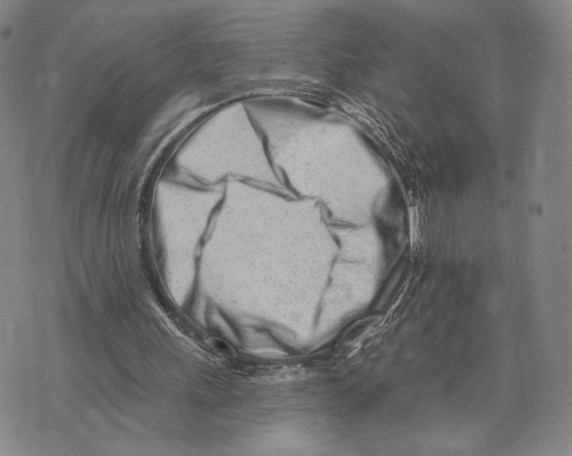 X0000073710243200608311801