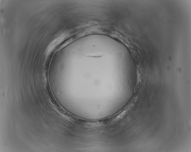 X0000073710245200608311801