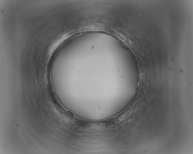 X0000073710248200608311801