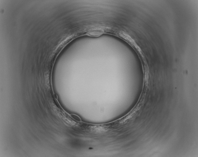 X0000073710249200608311801