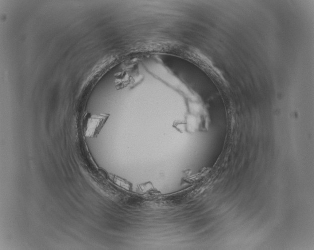 X0000073710250200608311801