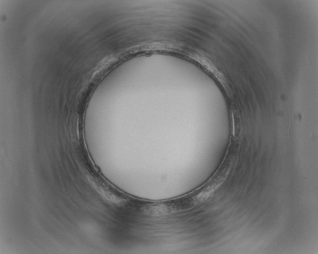 X0000073710253200608311802