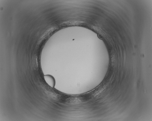 X0000073710254200608311802